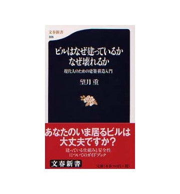 ビルはなぜ建っているかなぜ壊れるか　現代人のための建築構造入門