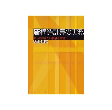 新構造計算の実務　
知っておきたい根拠と常識