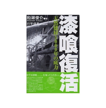 漆喰復活　天然素材5000年の底力
