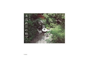 木洩れ日の庭で