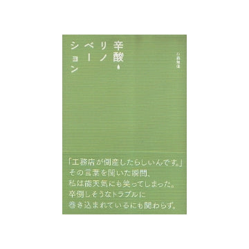 辛酸 リノベーション