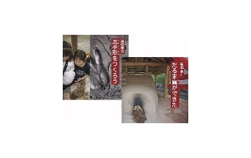 瓦の本 1 だるま窯ができた／瓦の本 2 瓦手形をつくろう
2冊セット