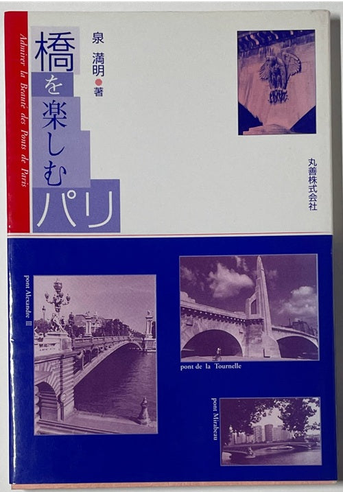 橋を楽しむパリ