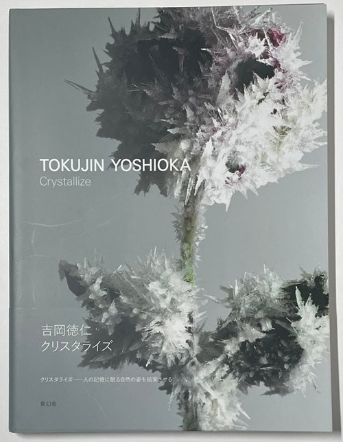 吉岡徳仁　クリスタライズ　TOKUJIN YOSHIOKA Crystallize