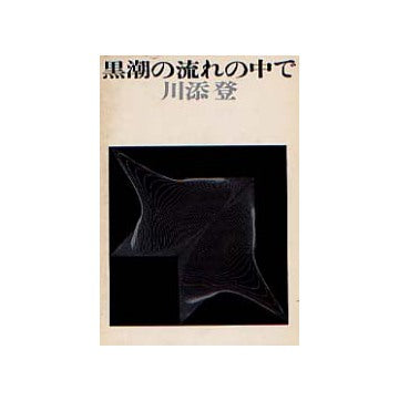 黒潮の流れの中で