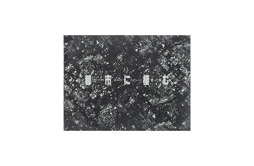都市に棲む展　ネコのひたいに建った家