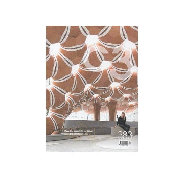 C3 383 Wood Poetic and Practical Possibilities