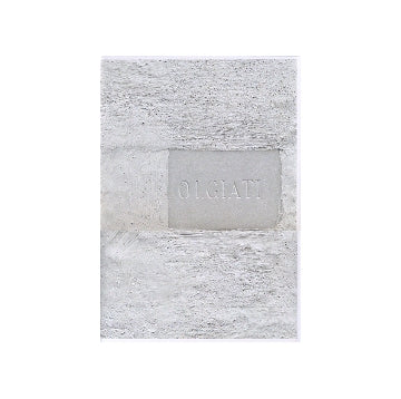 Dado　Built and Inhabited by Rudolf Olgiati and Valerio Olgiati オルジアティ