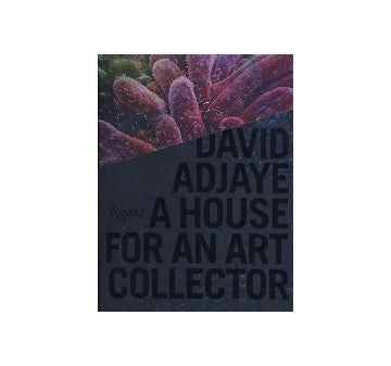 DAVID ADJAYE  A HOUSE FOR AN ART COLLECTOR
デイヴィッド・アジャイ