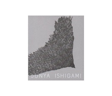 Junya Ishigami: Serpentine Pavilion 2019