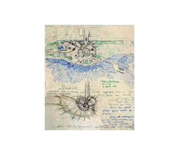From the Roots　Fernando Higueras 1950-2008
フェルナンド・イゲーラス作品集